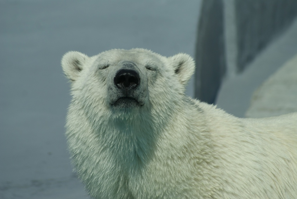 ������� ��������DSC07575.jpg